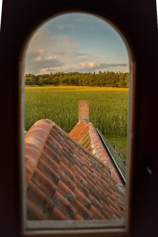 Hof ter Sysen Villa Loppem Værelse billede